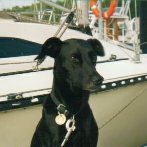 Nelli
